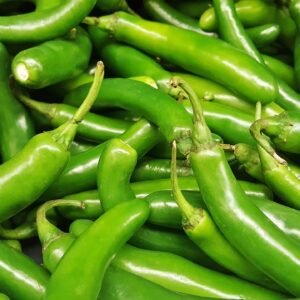 Capsicum